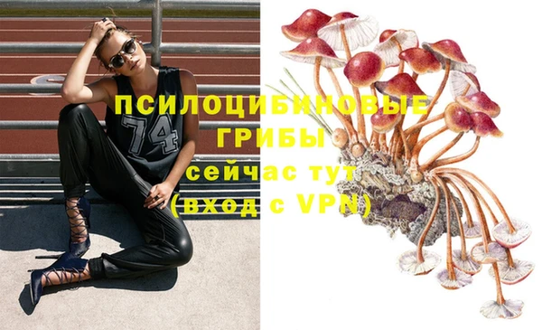 мяу мяу кристалл Ельня