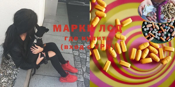 мяу мяу кристалл Ельня