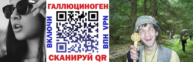 Купить  Приморско-Ахтарск  Галлюциногенные грибы GOLDEN TEACHER 