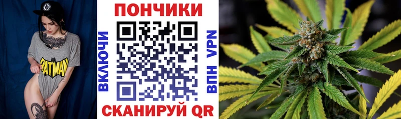 Купить закладки  Приморско-Ахтарск  Бошки марихуана сатива 